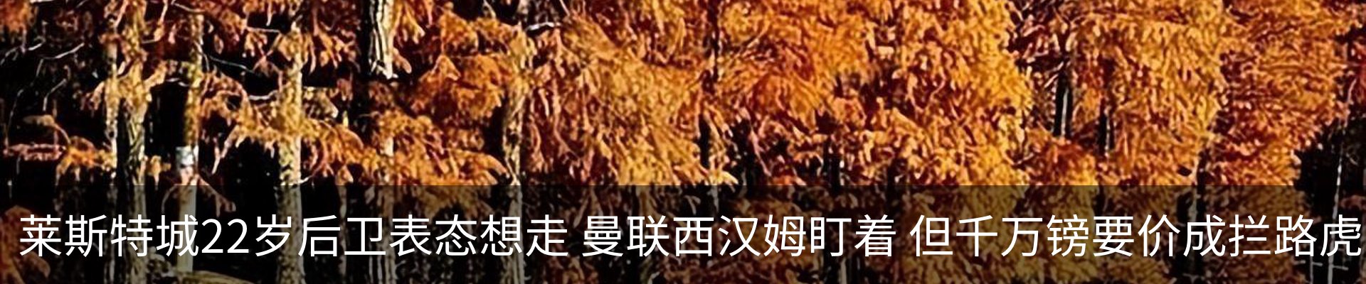 内页banner