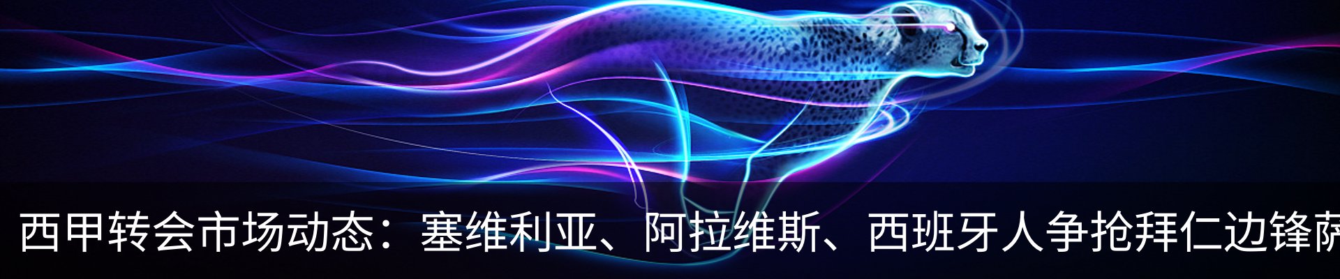 内页banner