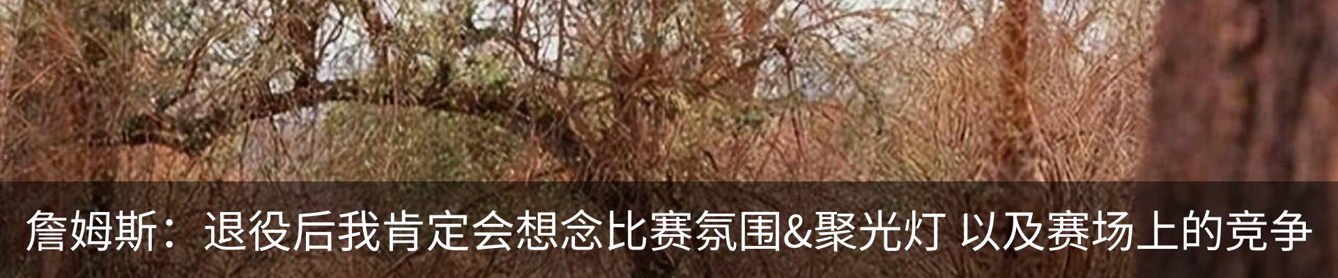 内页banner